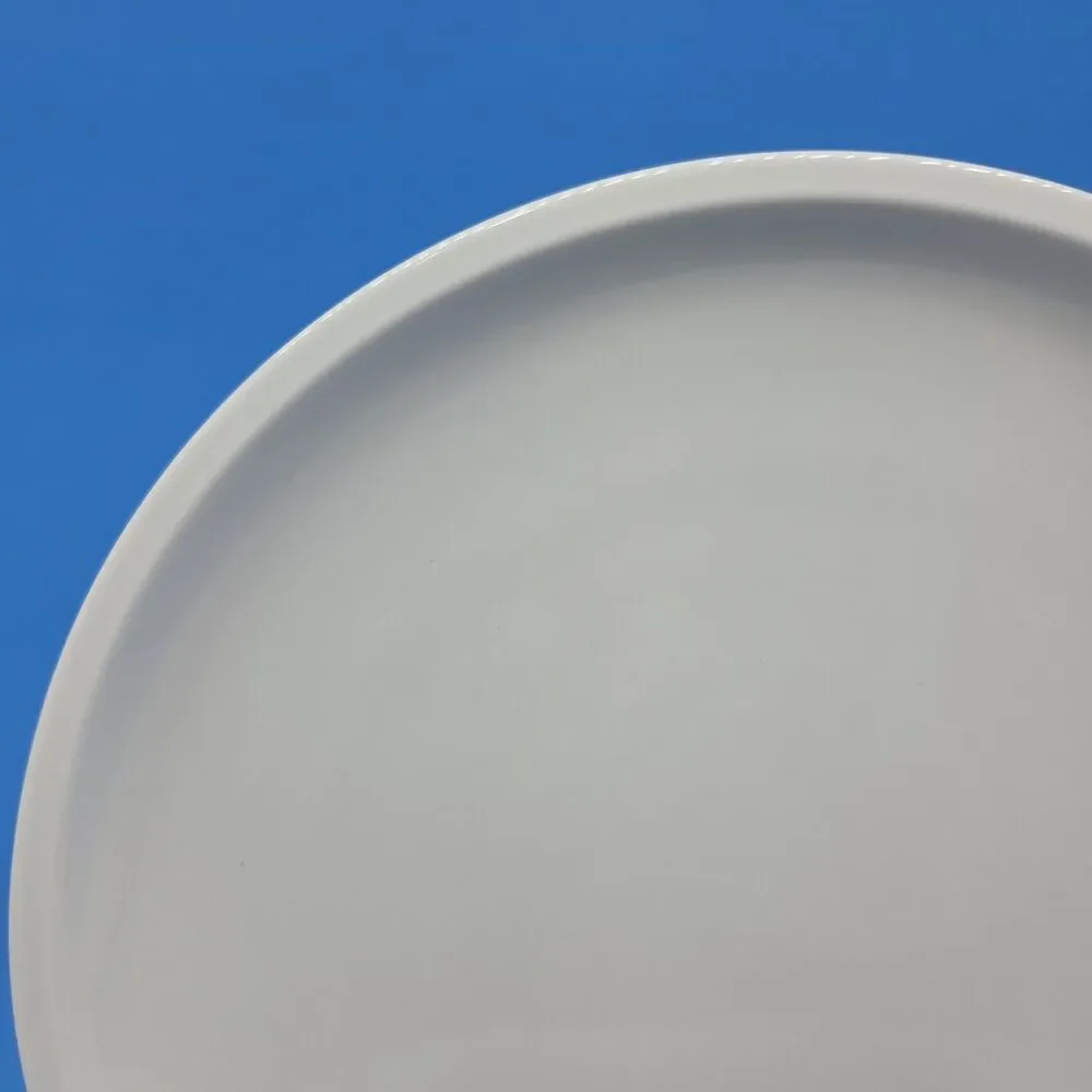 Villeroy And Boch Premium Porcelain 8 5/8